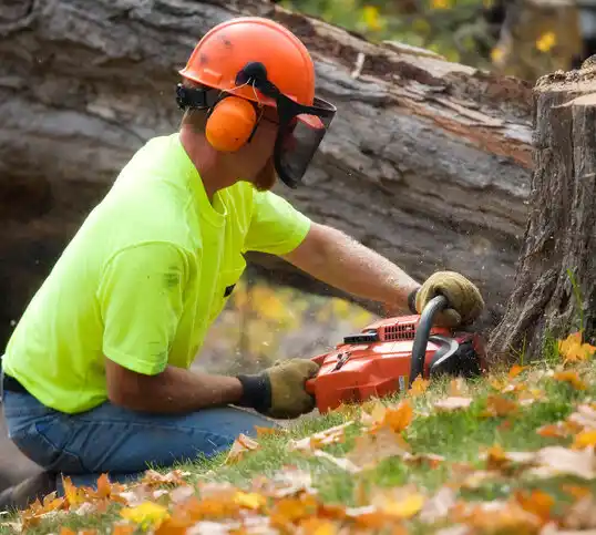 tree services Beaverton